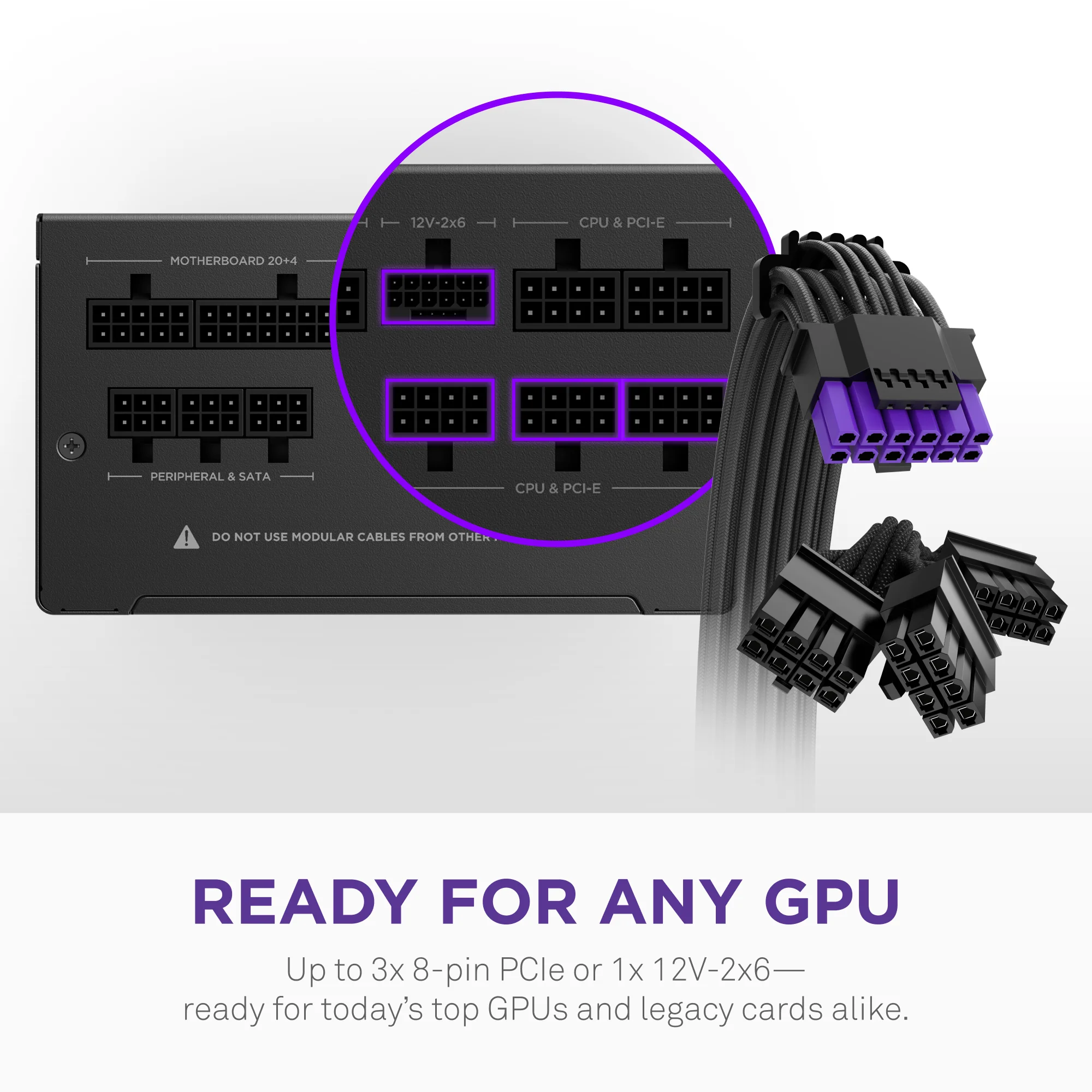 C850 Gold Core - Image 5